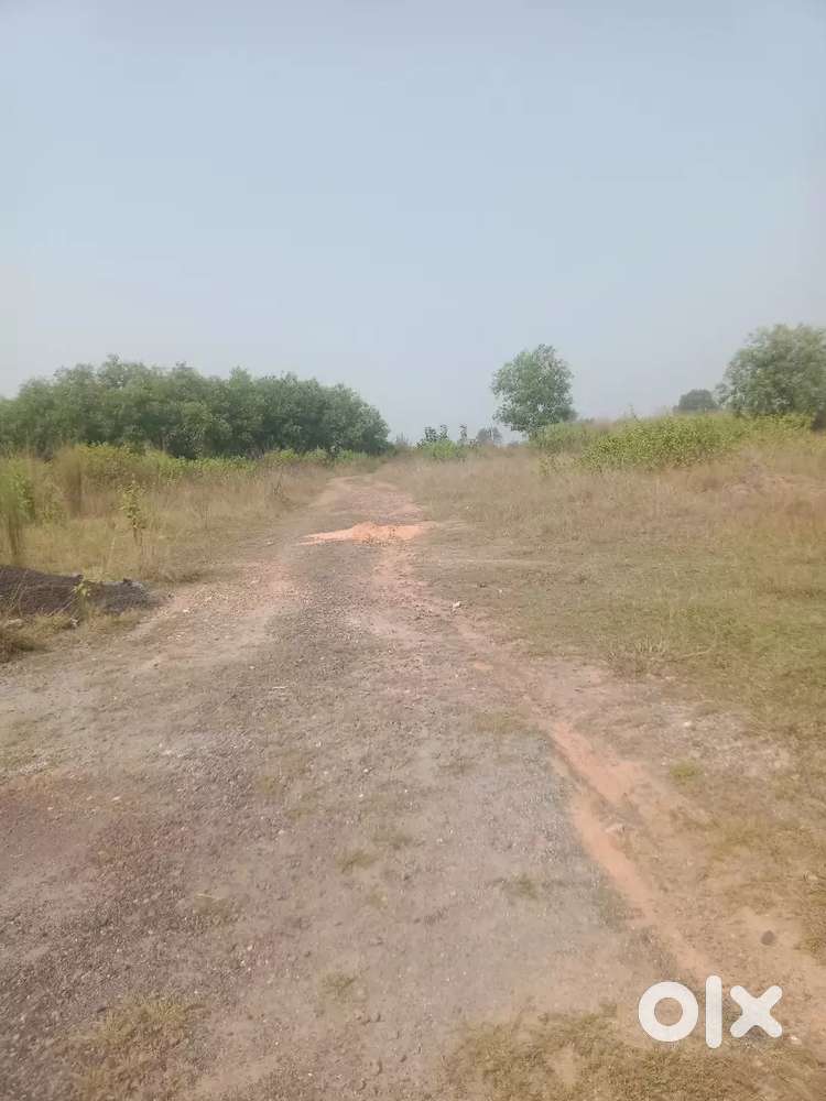 CNT Plot available for sell