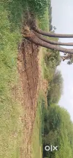 Open land available for your dream house build