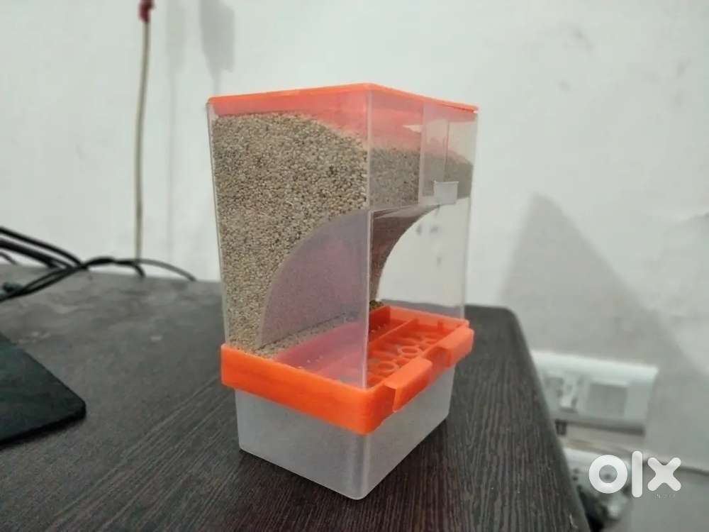 Automatic Bird Feeder