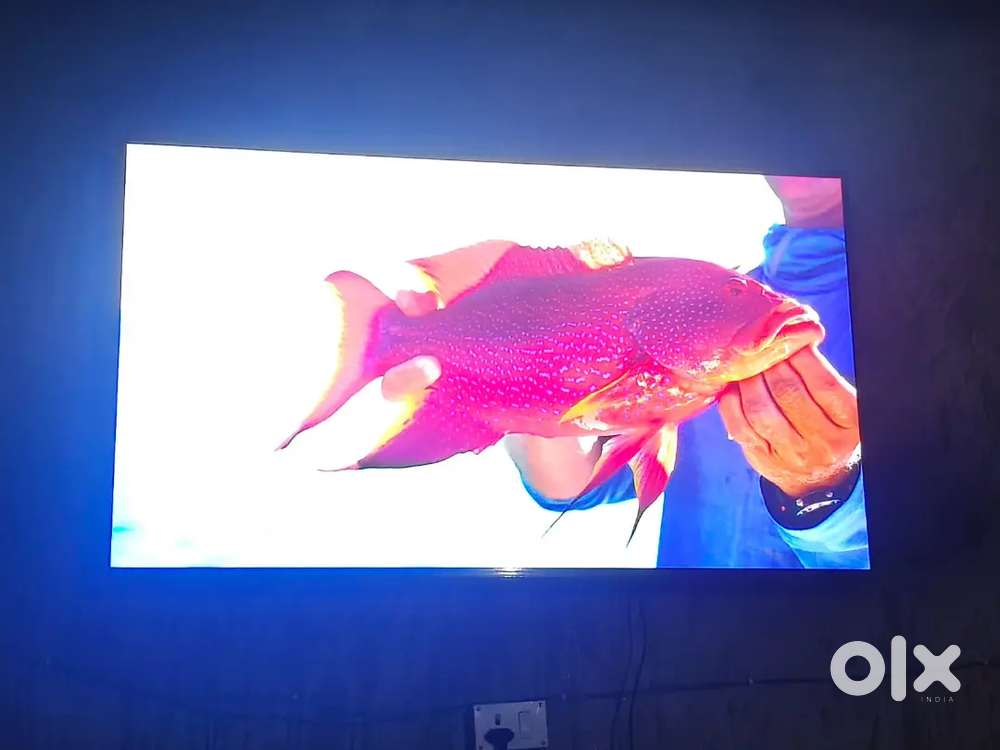 lG tv qned inch 55 koi dikkat nhi hai old 24 din