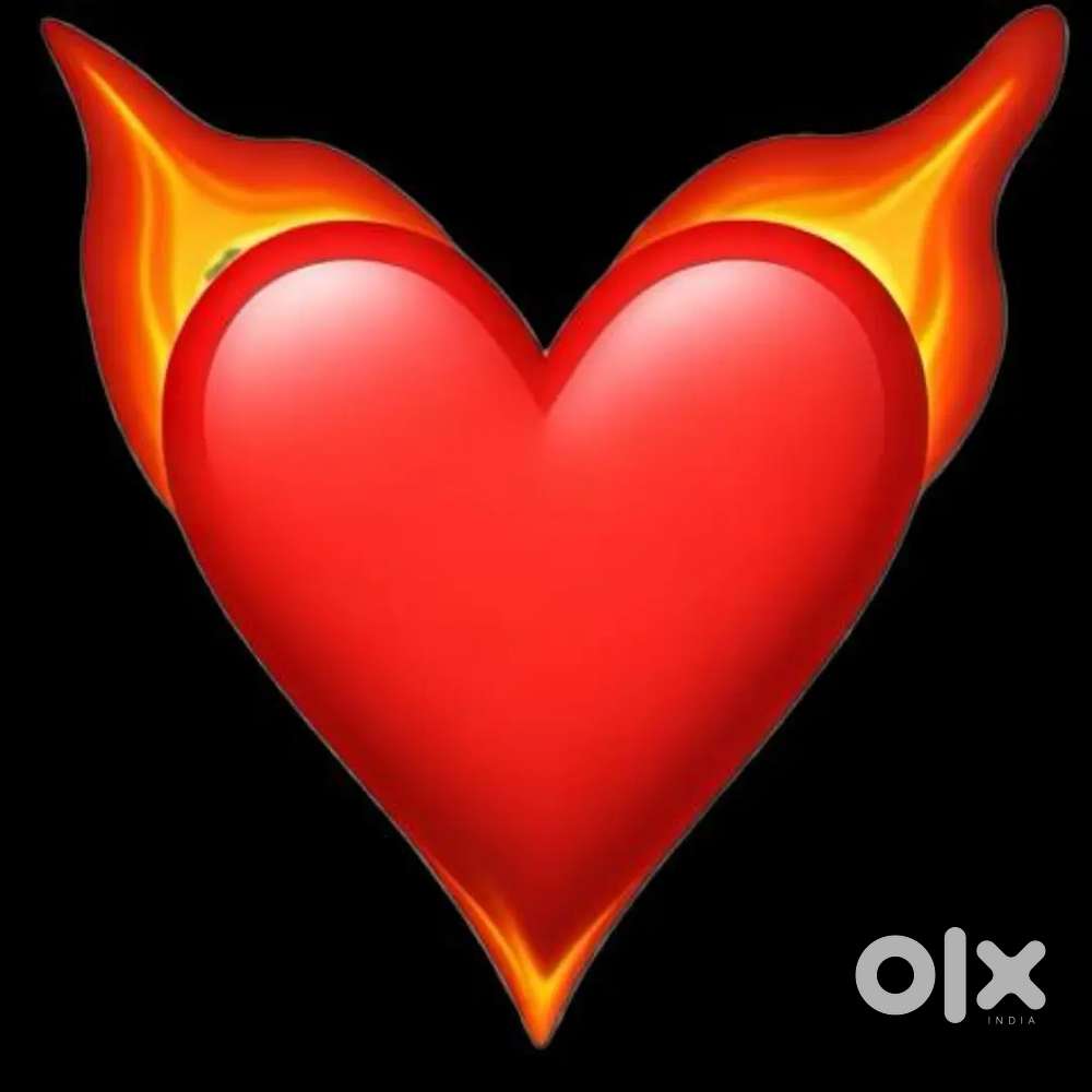 Need a independent villa house