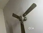 Havels ceiling fan in proper condition and working