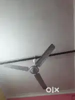 ceiling fan