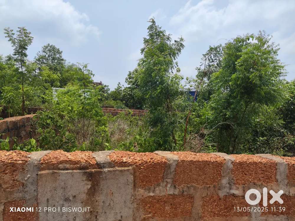 Near malipada