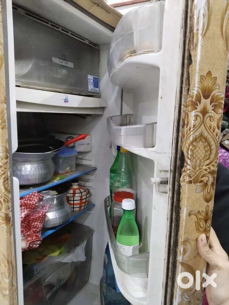 Fridge medium size
