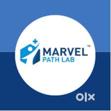 HR executive- Experienced / Fresher