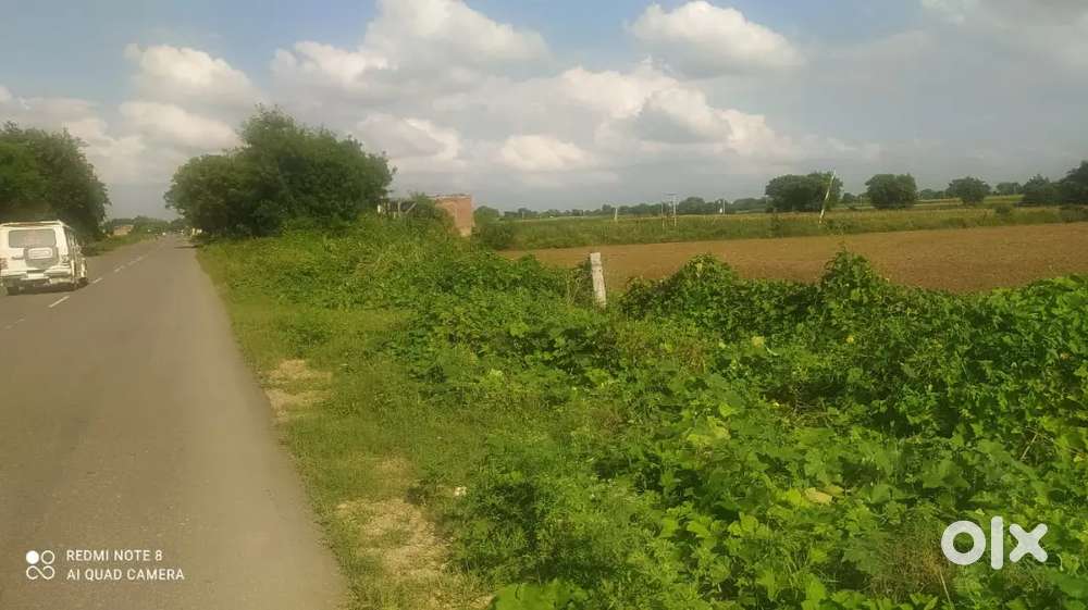 Gohad k paas agriculture jameen hai