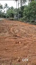 Residential plots at thanikkudam