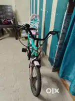 Bycycle girls