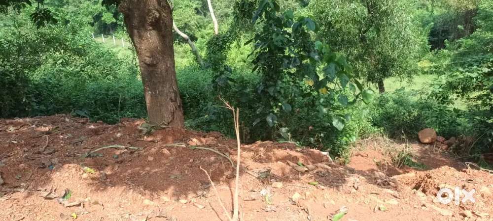 NA plot for sale in Borim Ponda South Goa @12,000 per sqm only!