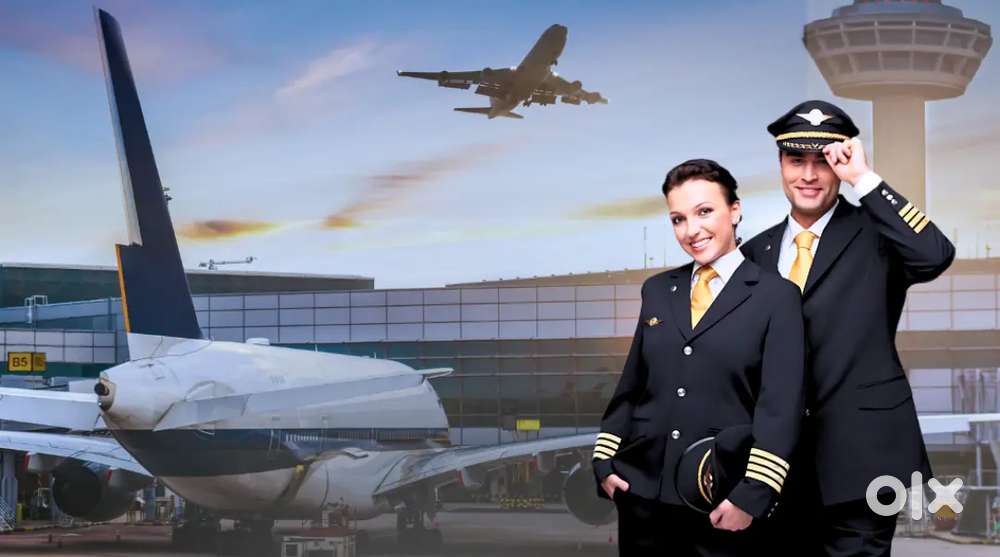 Get your dream job now and fly high