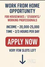 Work From Home