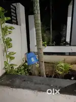 Farm House with coconut trees in Madurai