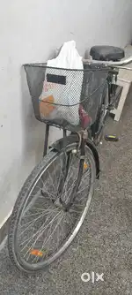 Cycle 22 inch