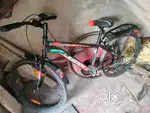 Leader Cycles Beast 26 T IBC , 3 months Old