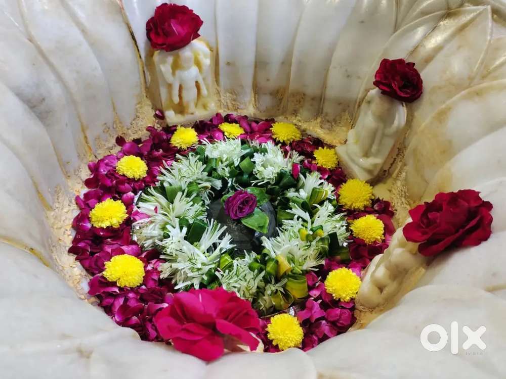 Student girl's and working women's