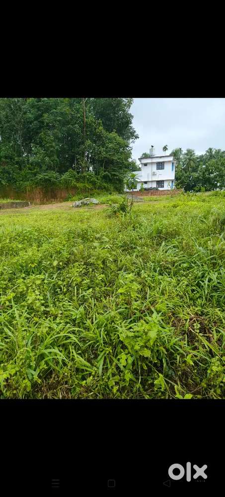 10  സെന്റ് സ്ഥലം വിൽപ്പനയ്ക്ക് വാഴമ്പുറത്ത് നിന്ന് 300 m അരപ്പാറ റോഡിൽ