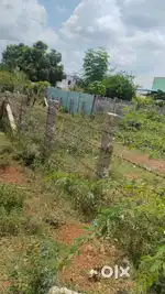Plot for sale