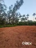 : 13 Cents Prime Land – 4km from Puttur, Kemmai