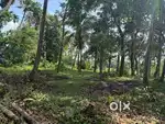 15 cents residential plot - 8 kms from thriprayar town