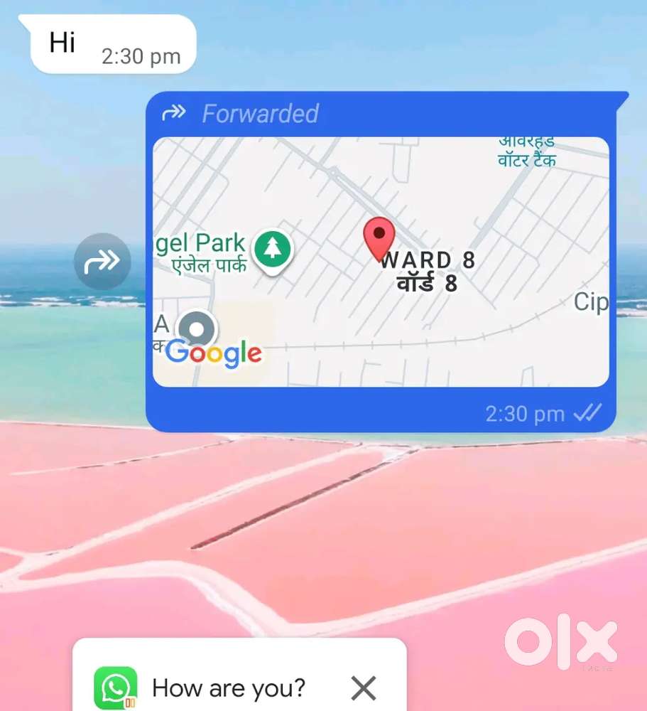 3 bhk flat for sale in excel floors , Phoneix township