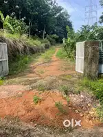 With full road length access, rectangle shape property.