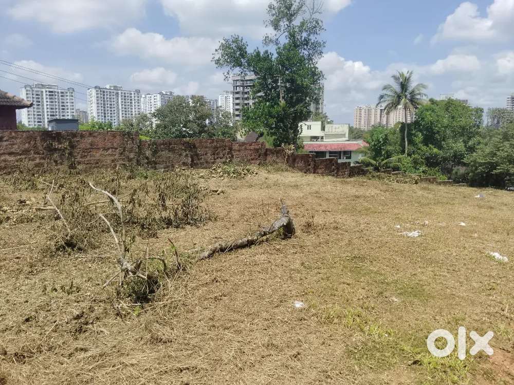 3 to 10 cents resedential plots in Infopark.