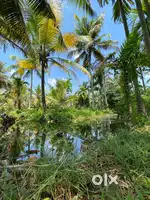 Riverside island for sale