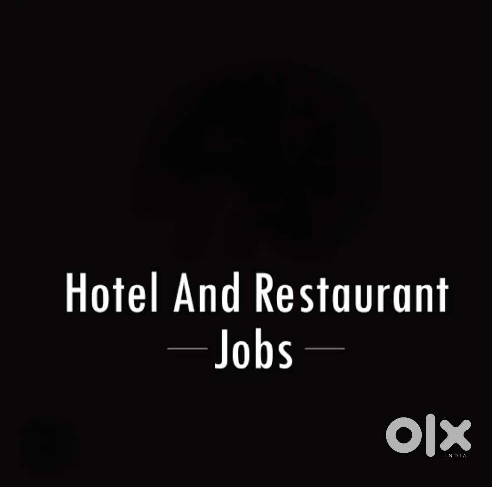 Looking for stewards and kitnchen staff in raipur