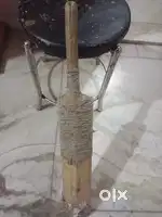 Cricket bat