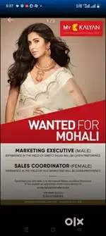 MARKETING JOBS