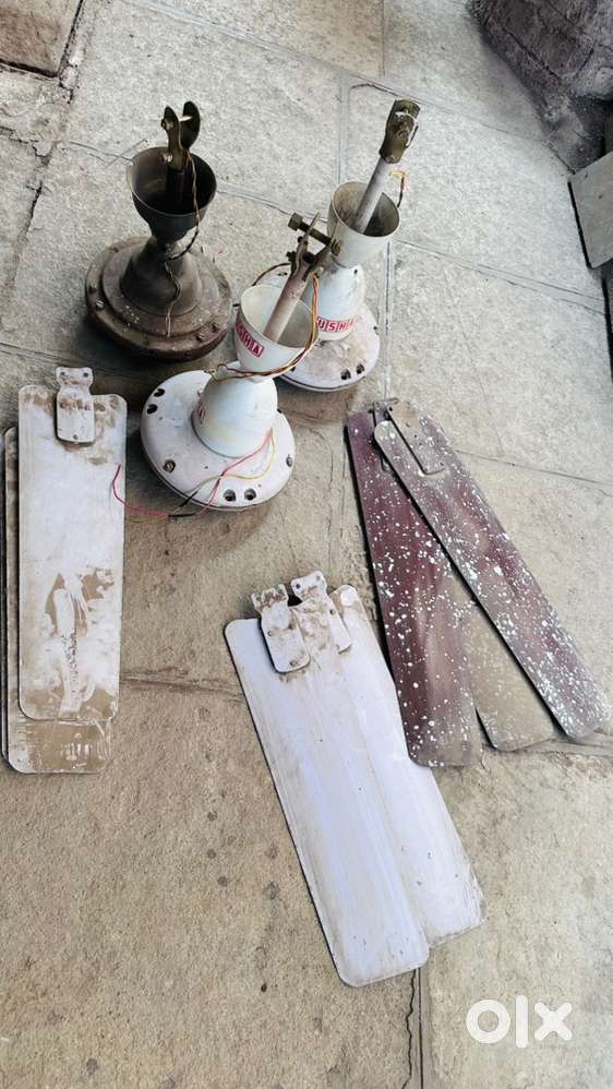 3 USHA fans for 1500