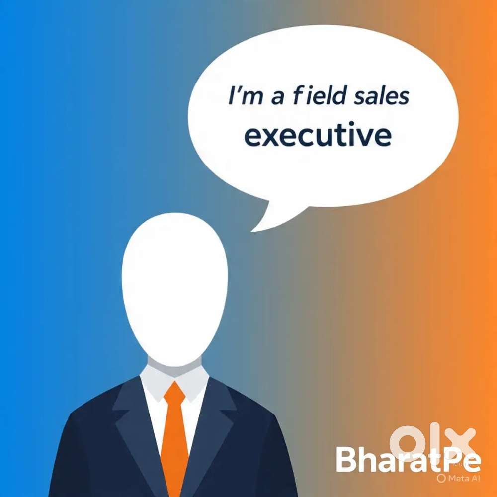 BharatPe Hiring Territory Manager and Field sales Executive