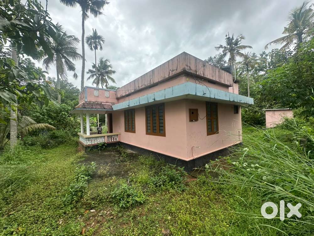 10cent plot along old house in alumkunnu 28th mile