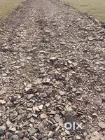 स्टेशन के पास 25 फीट,20 फीट रोड में,हर साइज के प्लाट उपलब्ध है