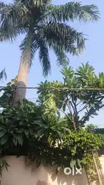 No Brokerage 2BHK Seperate Ground Floor in Kandari for Family, Girls