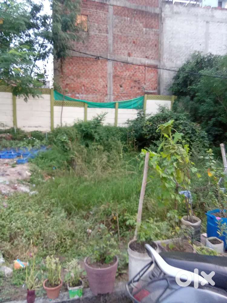 Arjent sale need money