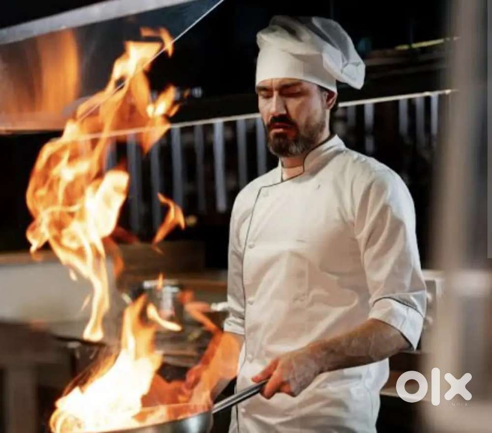 Looking for Head Chef and helper