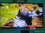 Lg 43UQ7500PSF