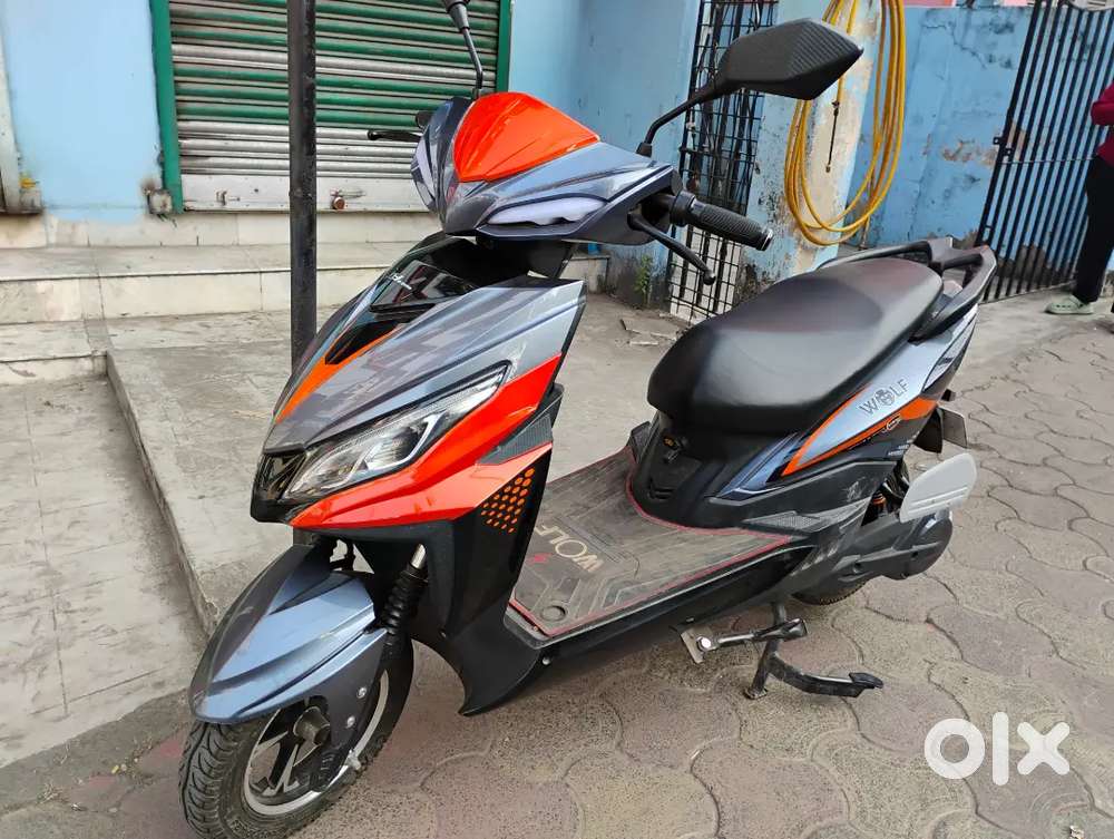 Joy E Bike Wolf model