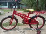 Lohit best cycle