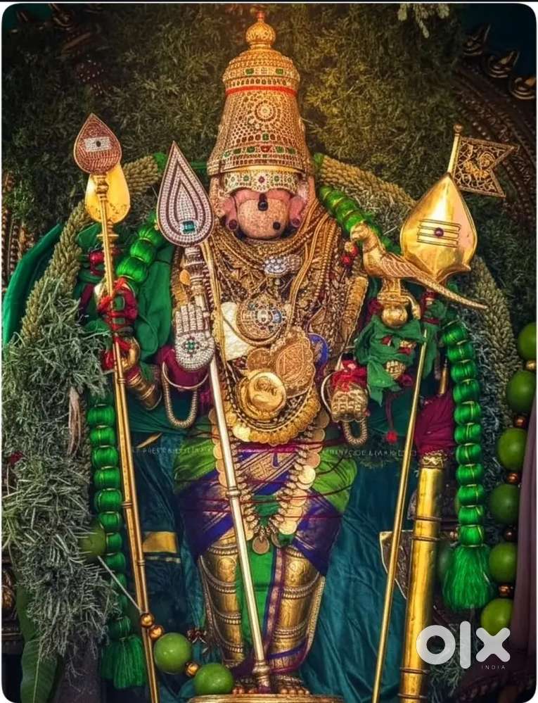 South Indian and Dosai Master work