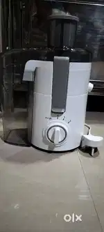 Fruit juicer