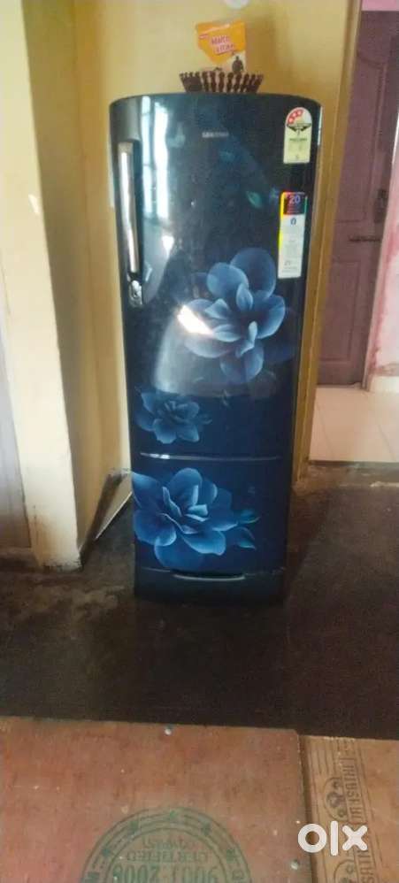 Fridge,cooler,mixi , induction stove