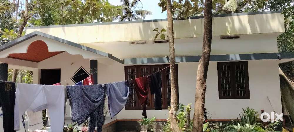 7.500 തിരുവിഴ പടിഞ്ഞാറ് വശം രണ്ട് ബെഡ്റൂം കൂടിയ വാടക വീട്