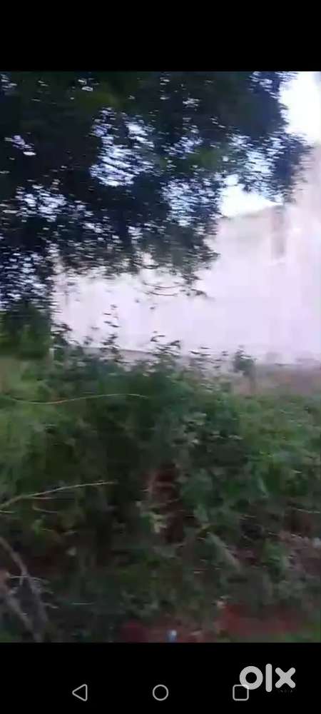 Plot for sale