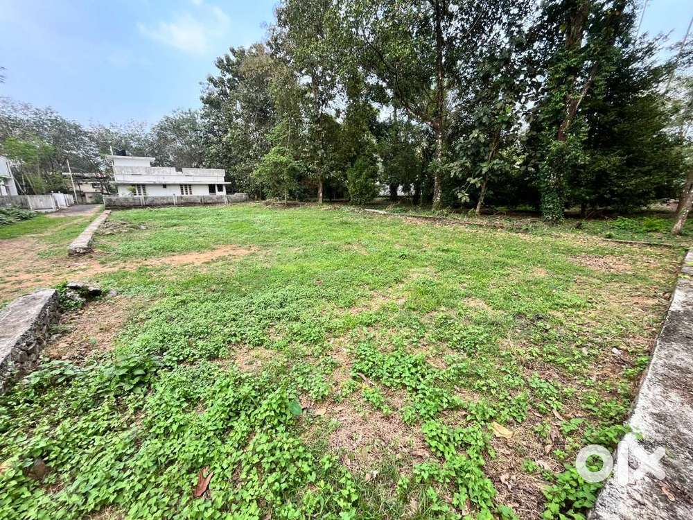 15 Cent Prime Land for Sale – ElavoorKavala, Angamaly (Near NH-544