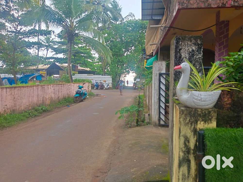 Close to morjim beach