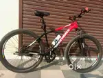 Suncross/Raleigh MTB 29Inch