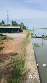 കുമ്പളങ്ങി 6 cent.5.5 lakh per cent purayidam